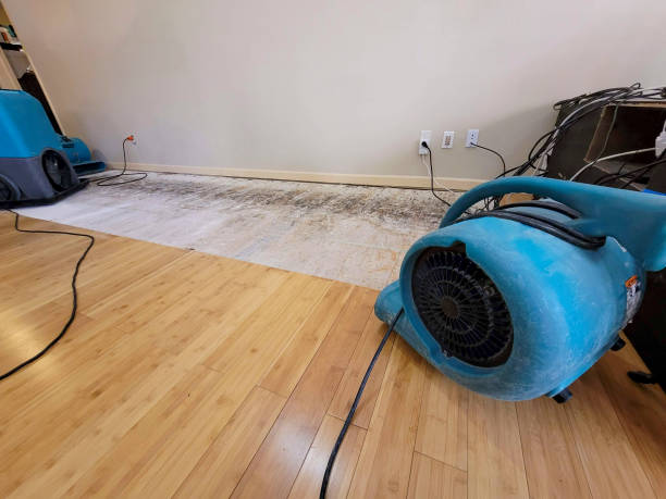 Professional Water Extraction technician working in Cadiz, OH